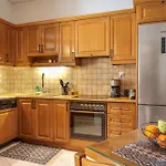 Renaissance City Apartment \